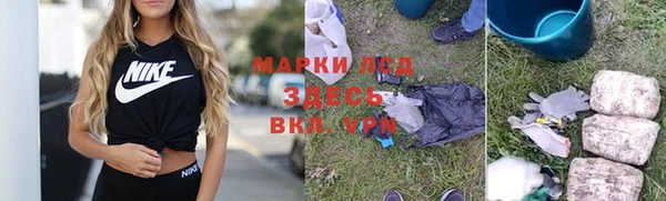 МДПВ Дмитриев