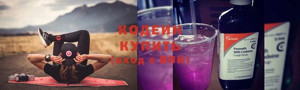 МДПВ Дмитриев