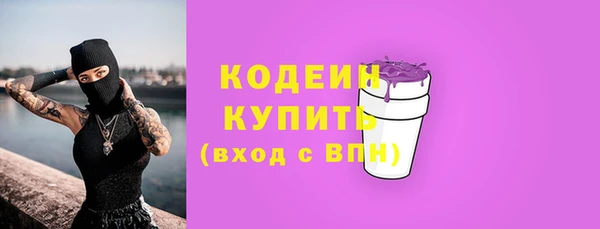 МДПВ Дмитриев